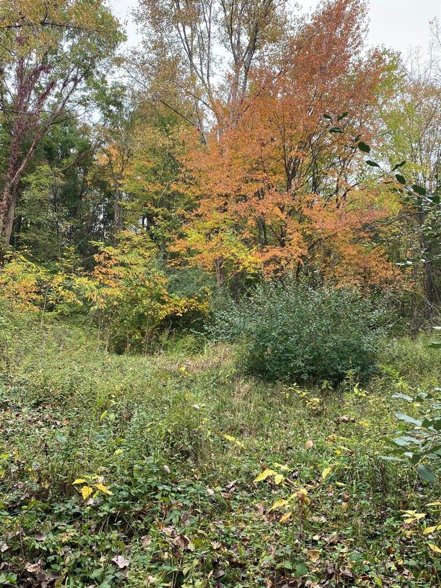 10005 50th Street, Grand Junction, MI 49056