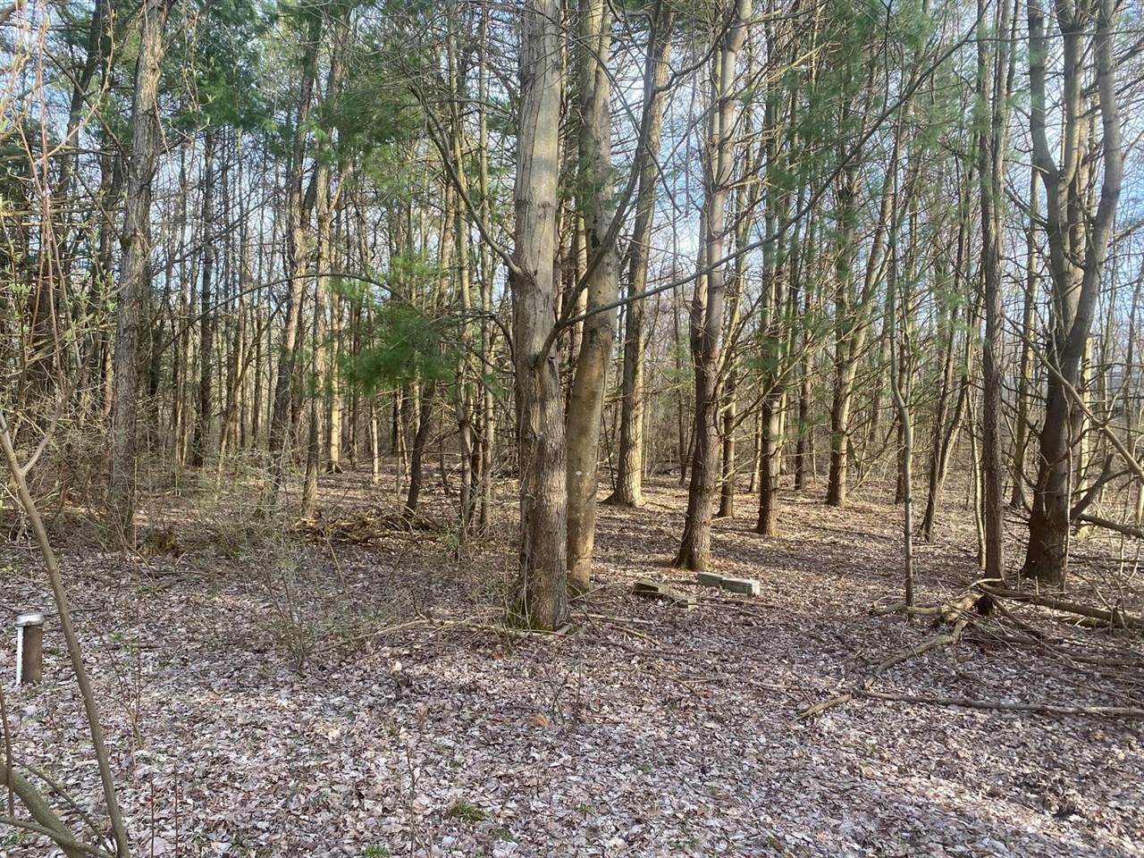 10005 50th Street, Grand Junction, MI 49056