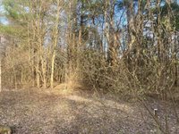 10005 50th Street, Grand Junction, MI 49056