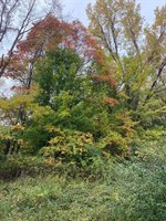 10005 50th Street, Grand Junction, MI 49056