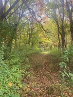 10005 50th Street, Grand Junction, MI 49056