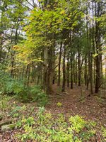 10005 50th Street, Grand Junction, MI 49056