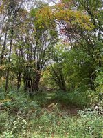 10005 50th Street, Grand Junction, MI 49056