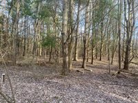 10005 50th Street, Grand Junction, MI 49056