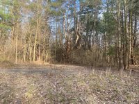 10005 50th Street, Grand Junction, MI 49056