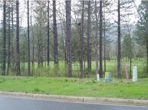 1308 Green Valley Dr, Cave Junction, OR 97523