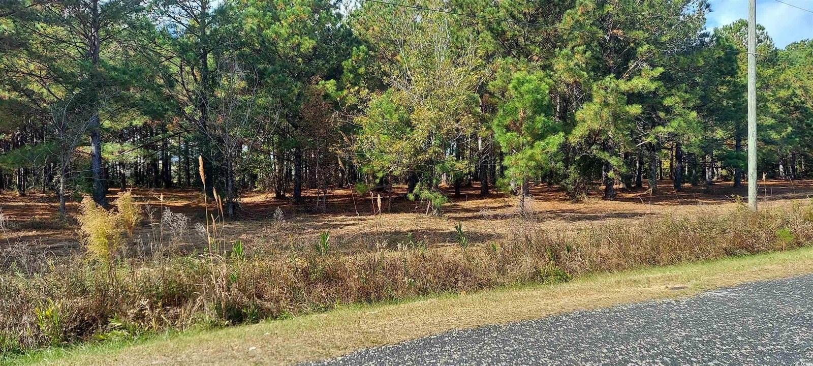 3025, 3029 Fowler Rd., Loris, SC 29569