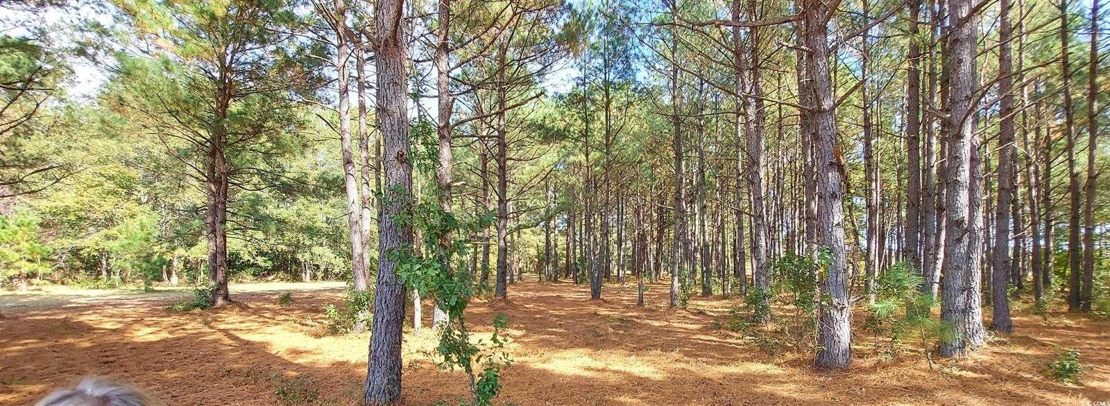 3025, 3029 Fowler Rd., Loris, SC 29569