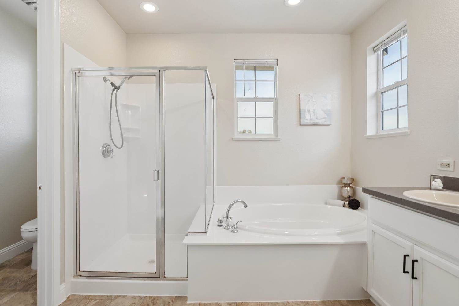 1412 Cliff Swallow Drive, Patterson, CA 95363