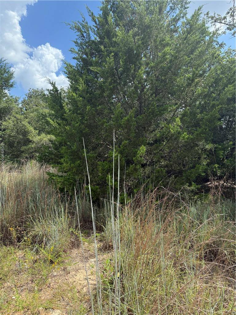 1163 Sugar Hill, Caldwell, TX 77836