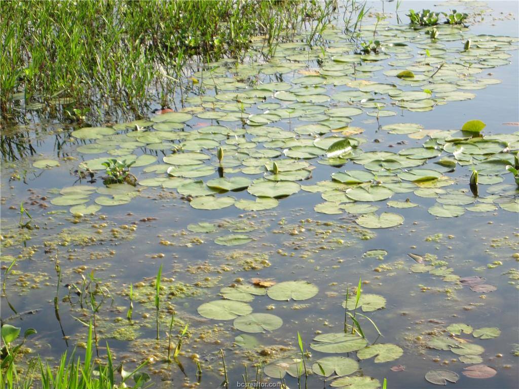 1163 Sugar Hill, Caldwell, TX 77836