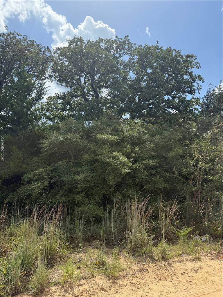 1163 Sugar Hill, Caldwell, TX 77836