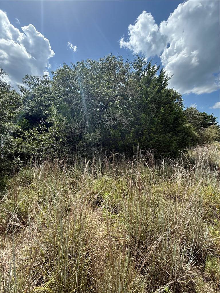 1163 Sugar Hill, Caldwell, TX 77836