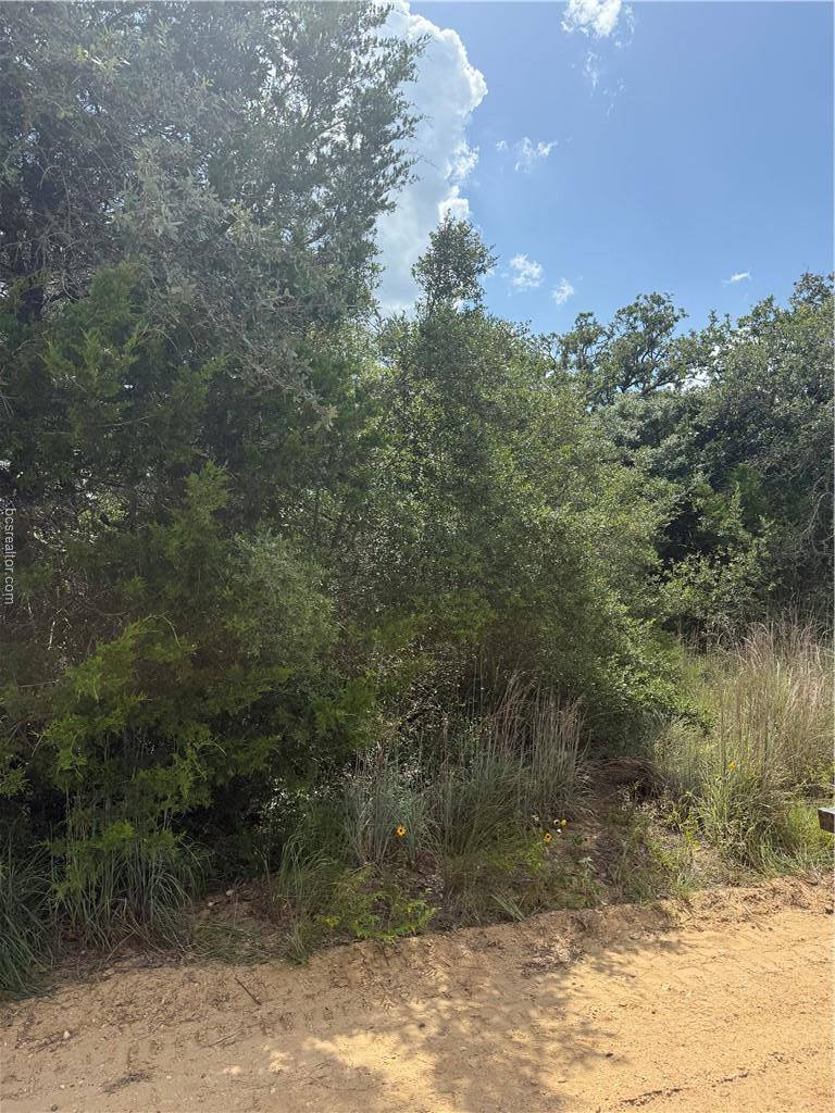 1163 Sugar Hill, Caldwell, TX 77836