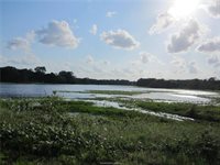 1163 Sugar Hill, Caldwell, TX 77836