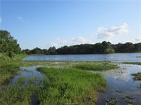 1163 Sugar Hill, Caldwell, TX 77836