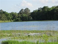 1163 Sugar Hill, Caldwell, TX 77836