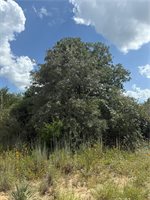 1163 Sugar Hill, Caldwell, TX 77836