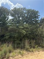 1163 Sugar Hill, Caldwell, TX 77836