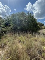 1163 Sugar Hill, Caldwell, TX 77836