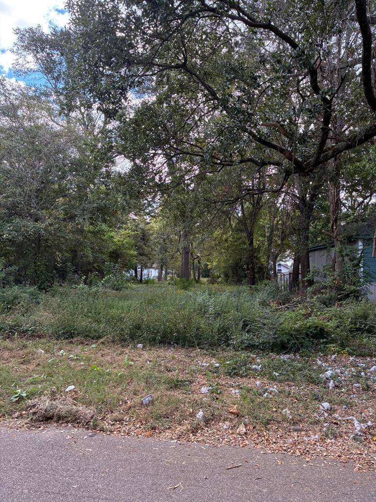 1517 West 10th, Texarkana, TX 75501