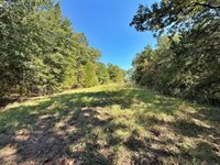 CR 890, Teague, TX 75860