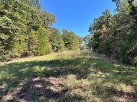 CR 890, Teague, TX 75860