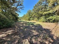 CR 890, Teague, TX 75860