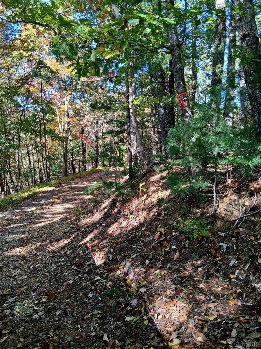 0 North Fork Road, Amherst, VA 24521