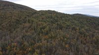 0 North Fork Road, Amherst, VA 24521