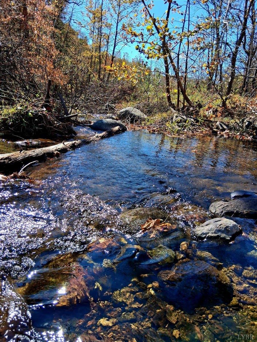 0 North Forks Road, Amherst, VA 24521