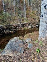 0 North Forks Road, Amherst, VA 24521