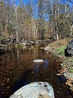 0 North Forks Road, Amherst, VA 24521