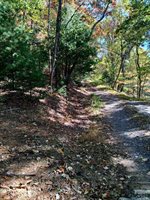 0 North Forks Road, Amherst, VA 24521