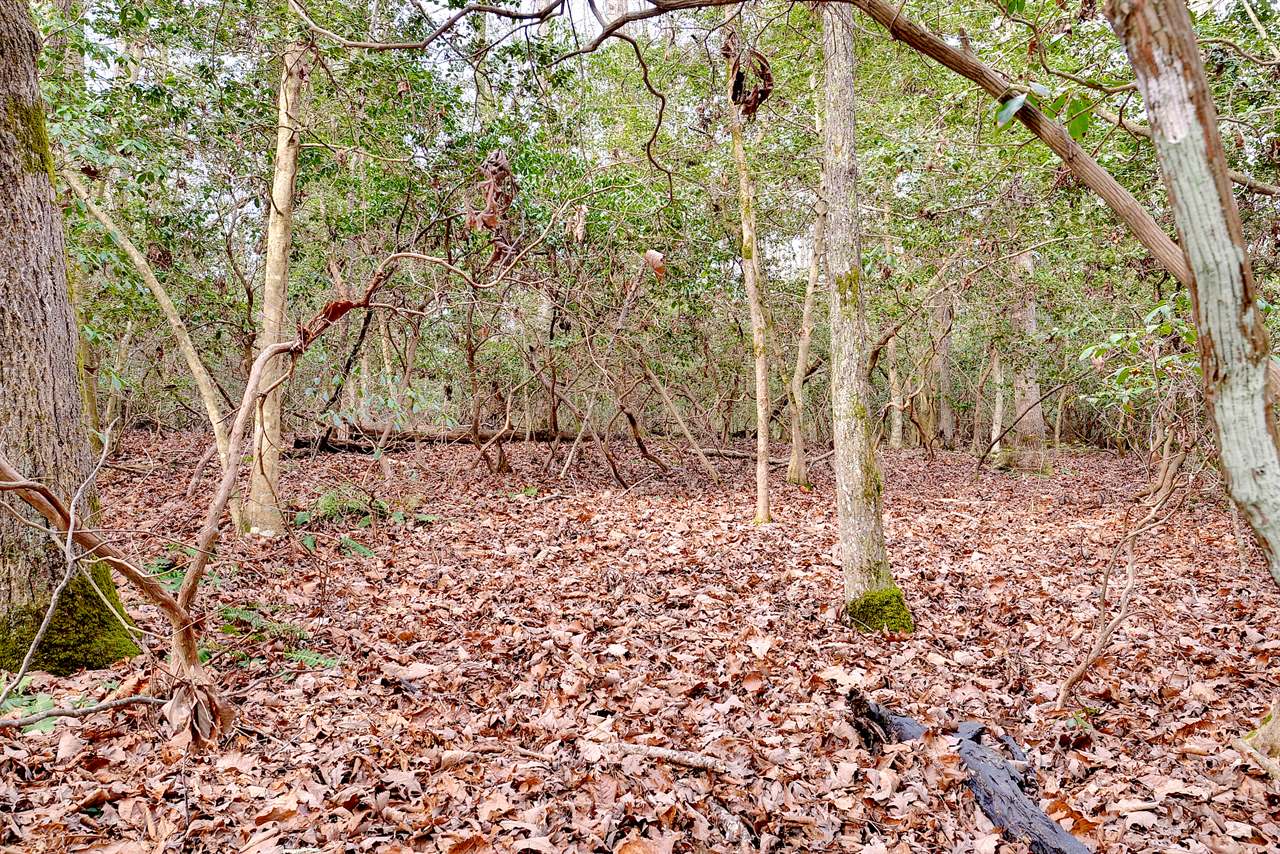 Lot A Lonesome Pine Trl, Lancaster, VA 22503