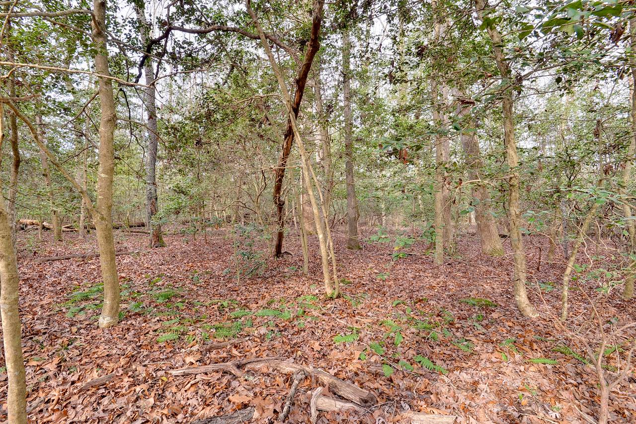 Lot A Lonesome Pine Trl, Lancaster, VA 22503