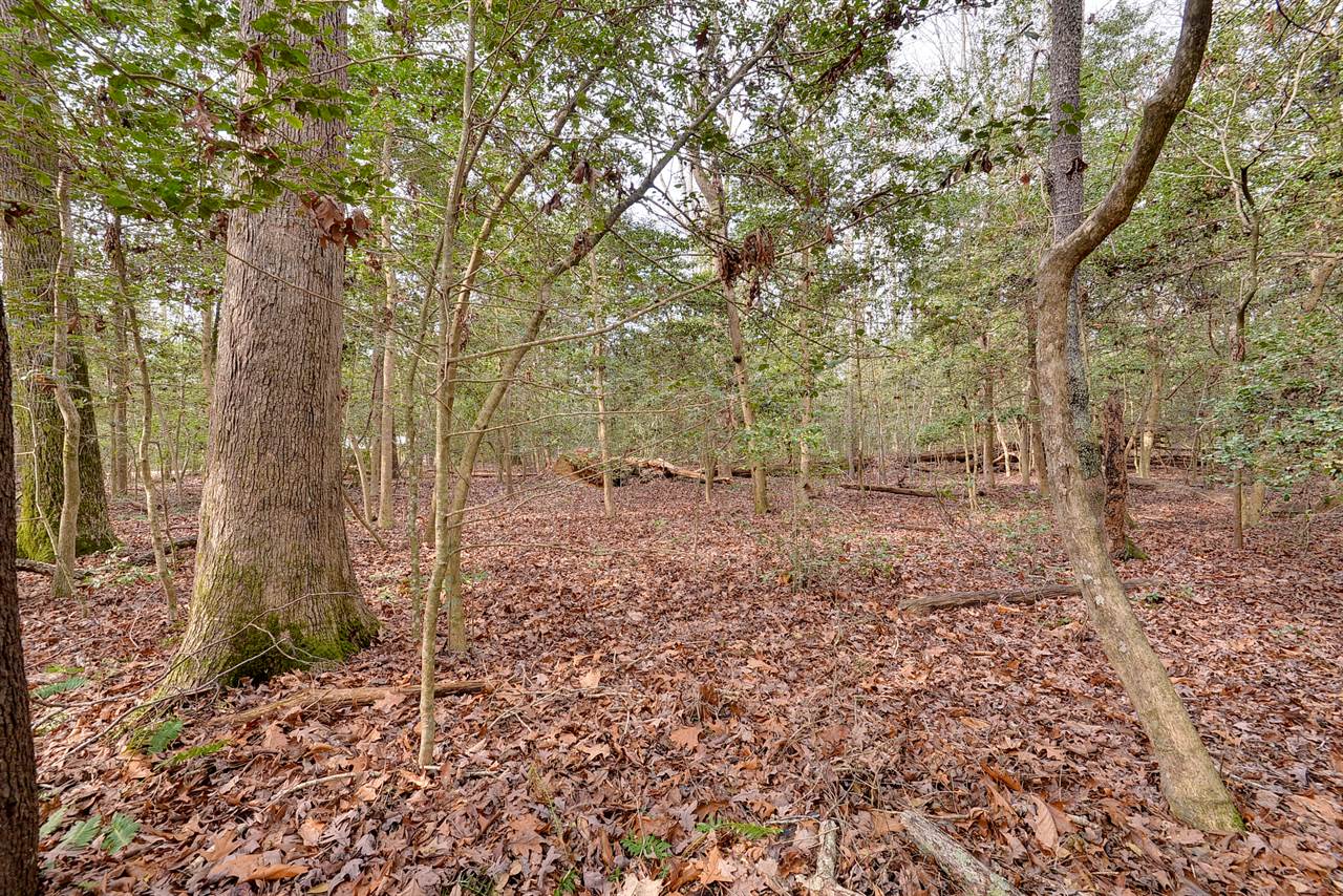 Lot A Lonesome Pine Trl, Lancaster, VA 22503