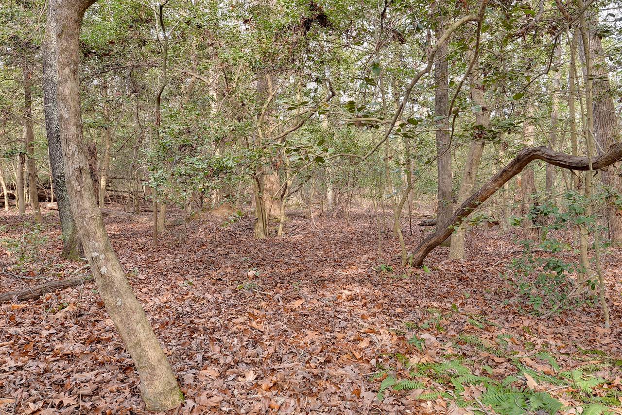 Lot B Lonesome Pine Trl, Lancaster, VA 22503