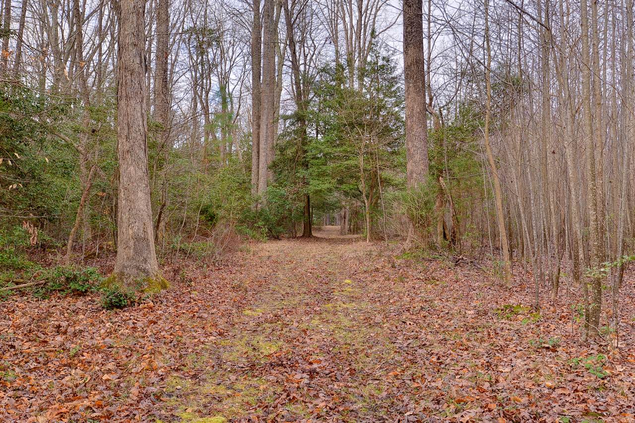 Lot B Lonesome Pine Trl, Lancaster, VA 22503