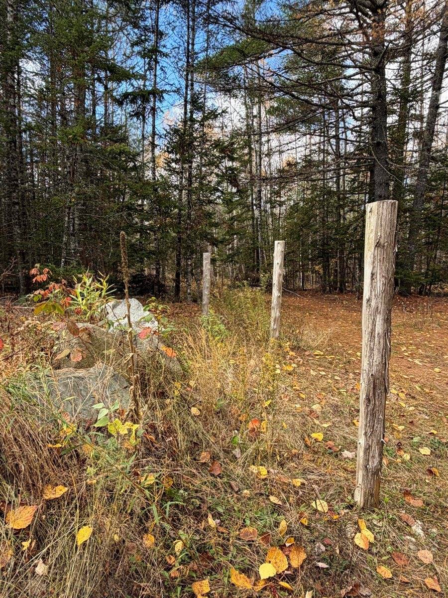 76 Wolf Run Trail, Greenbush, ME 04418