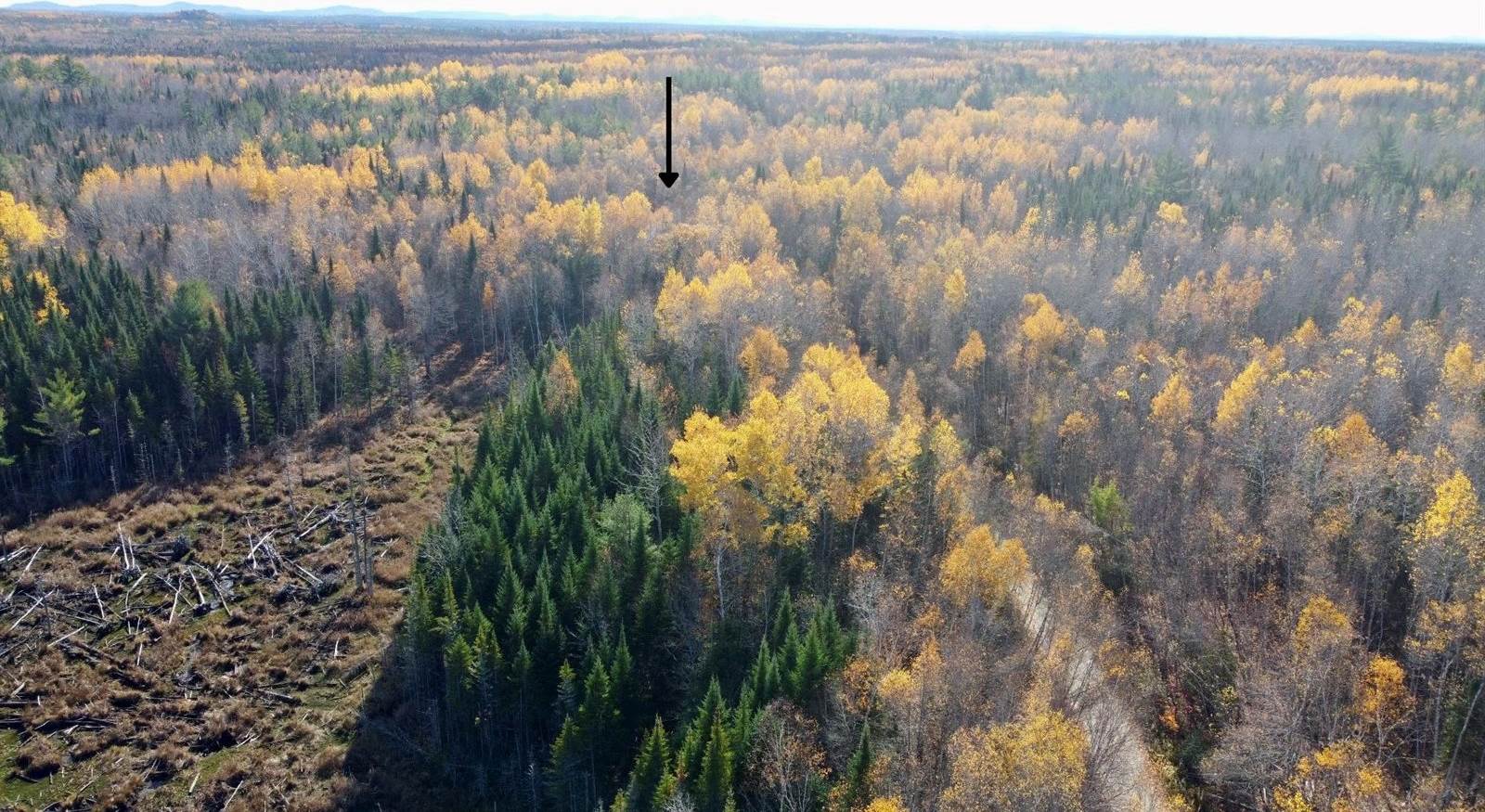 76 Wolf Run Trail, Greenbush, ME 04418