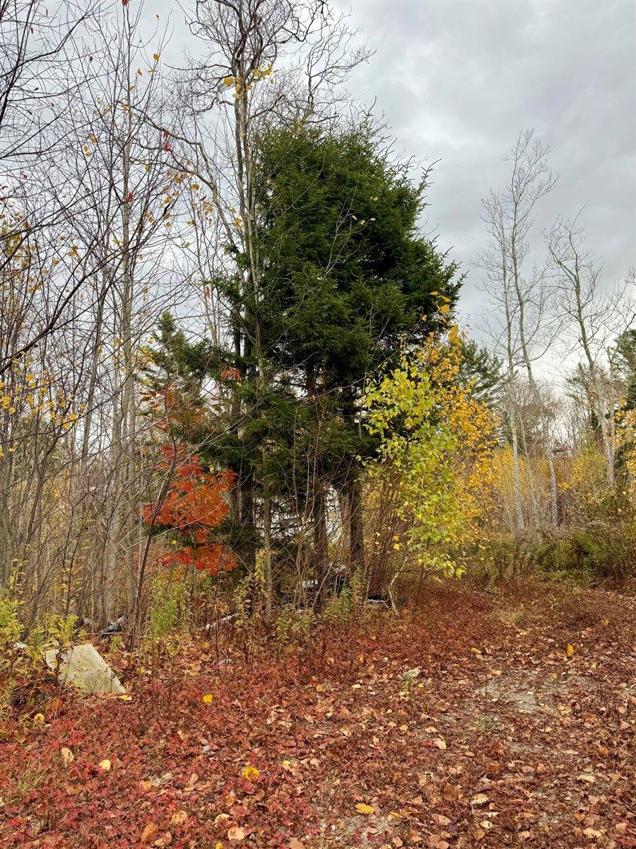 346 Main Street, East Machias, ME 04630