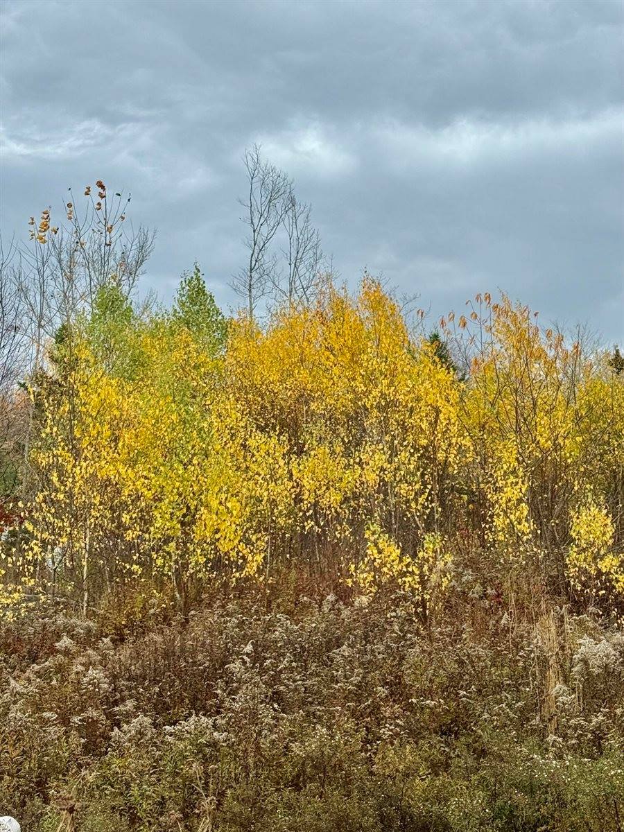 346 Main Street, East Machias, ME 04630