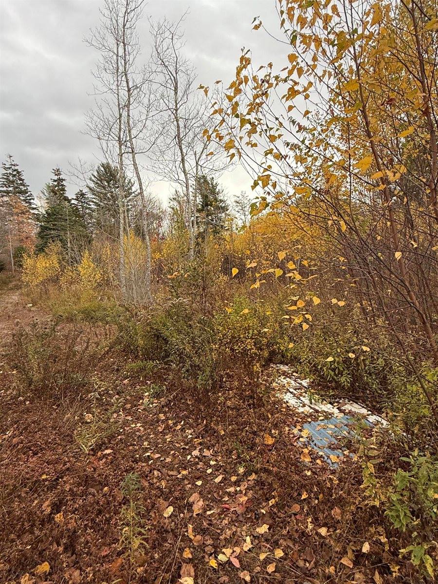 346 Main Street, East Machias, ME 04630