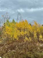 346 Main Street, East Machias, ME 04630