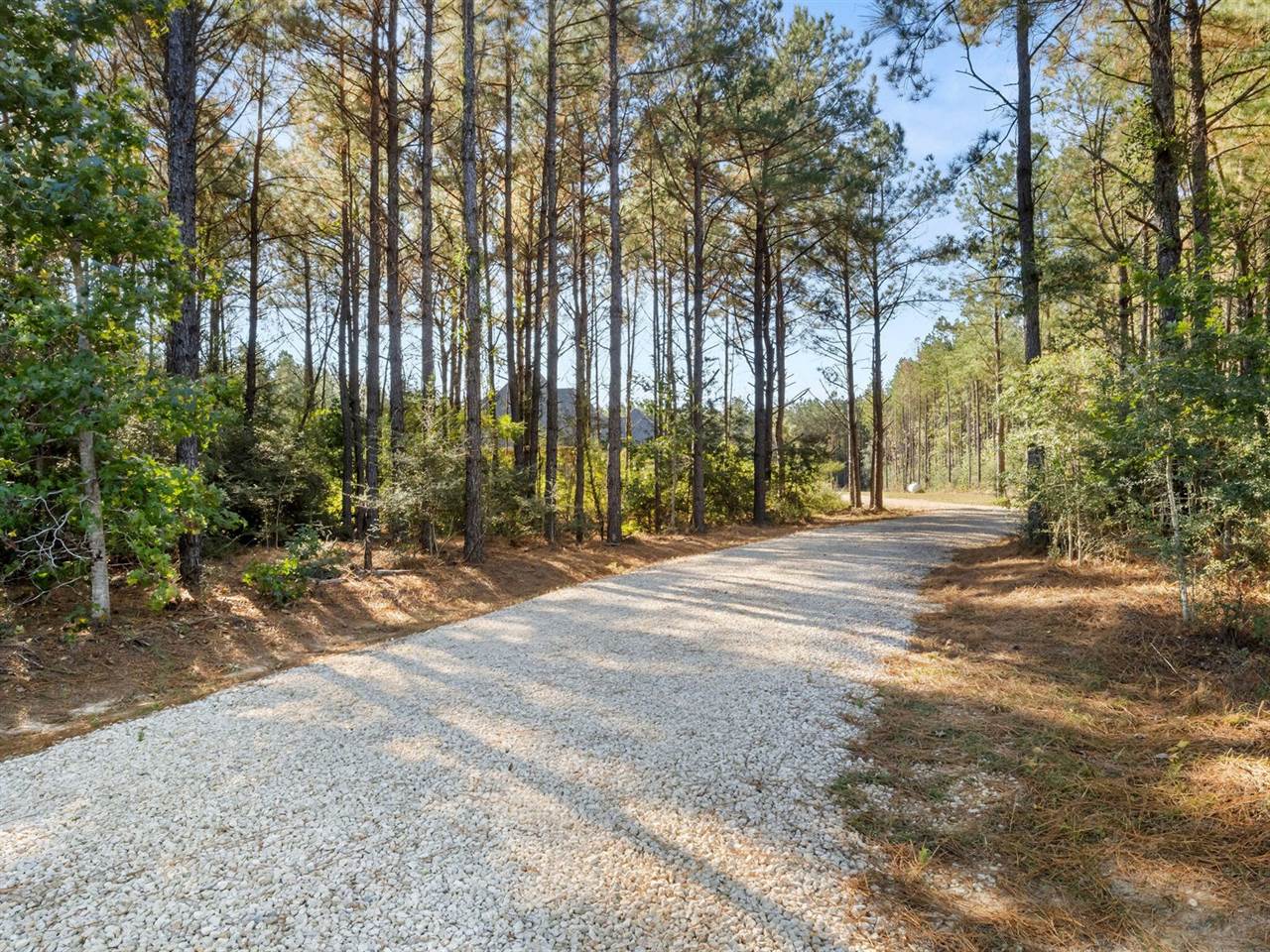 443 Stamps Rd.(DeRidder), Merryville, LA 70653