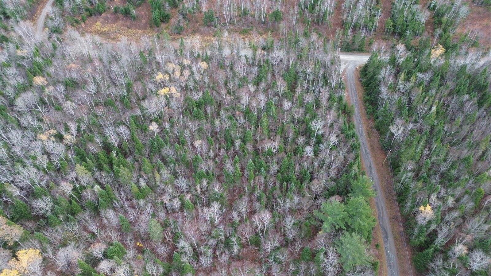 M25 L33C Pelletier Road, Madawaska, ME 04756