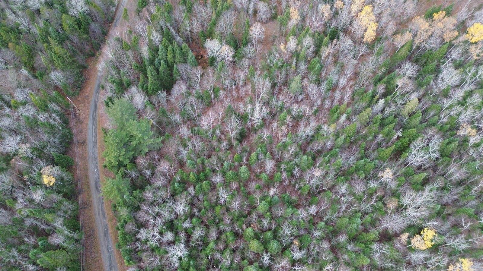 M25 L33C Pelletier Road, Madawaska, ME 04756