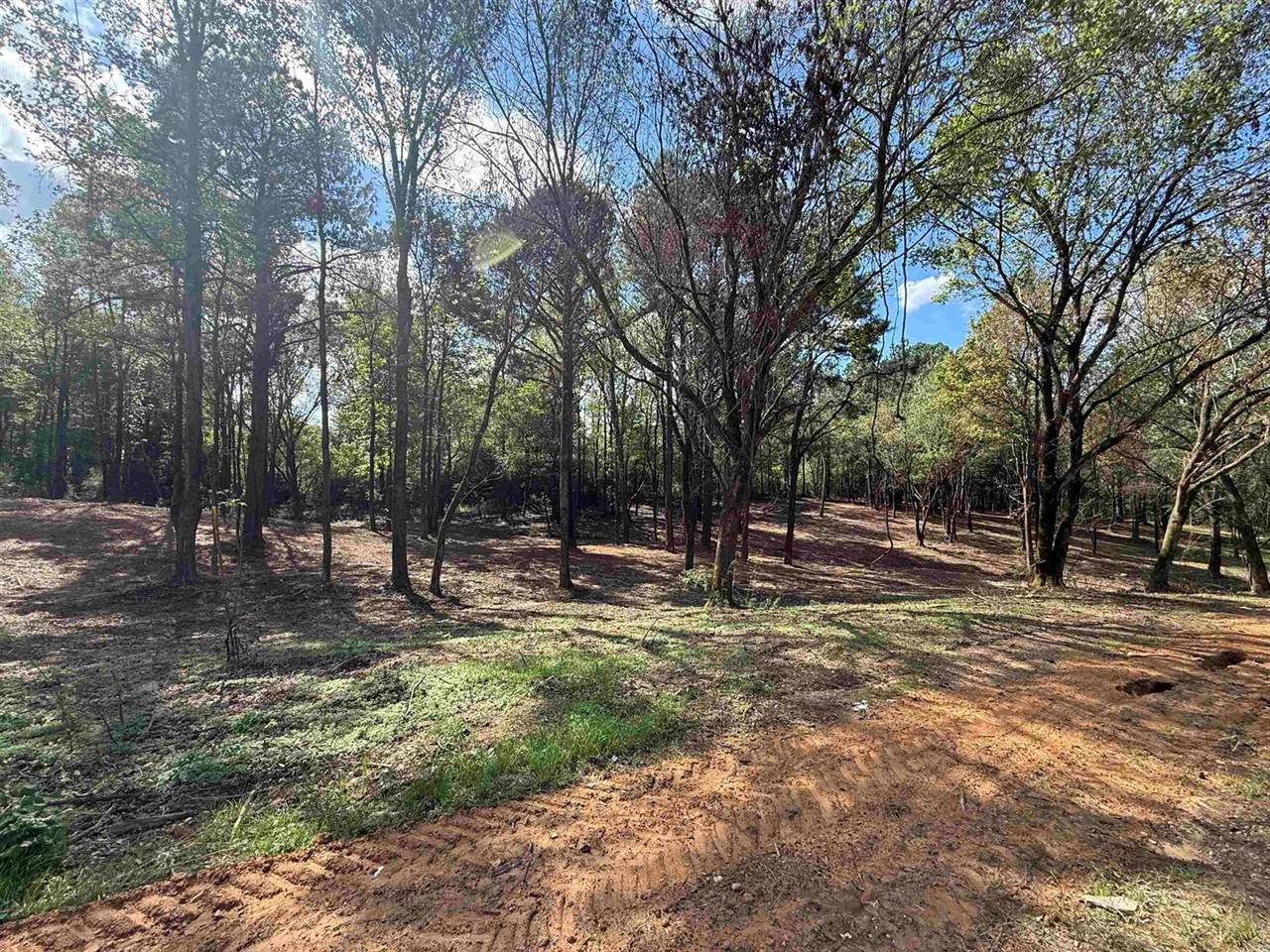 232 Co Rd 1123, Vinemont, AL 35179