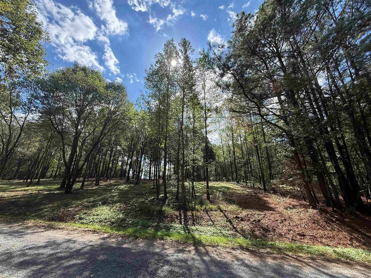 232 Co Rd 1123, Vinemont, AL 35179